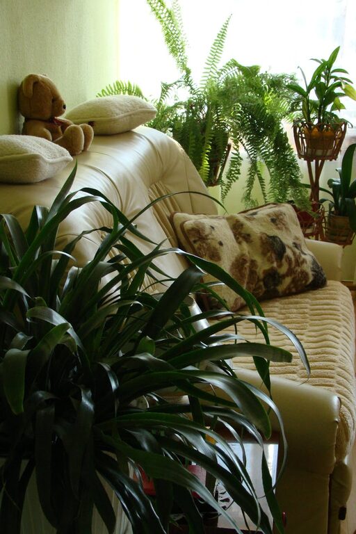 Tips for Creating a Cosy and Inviting Living Room on a Budget