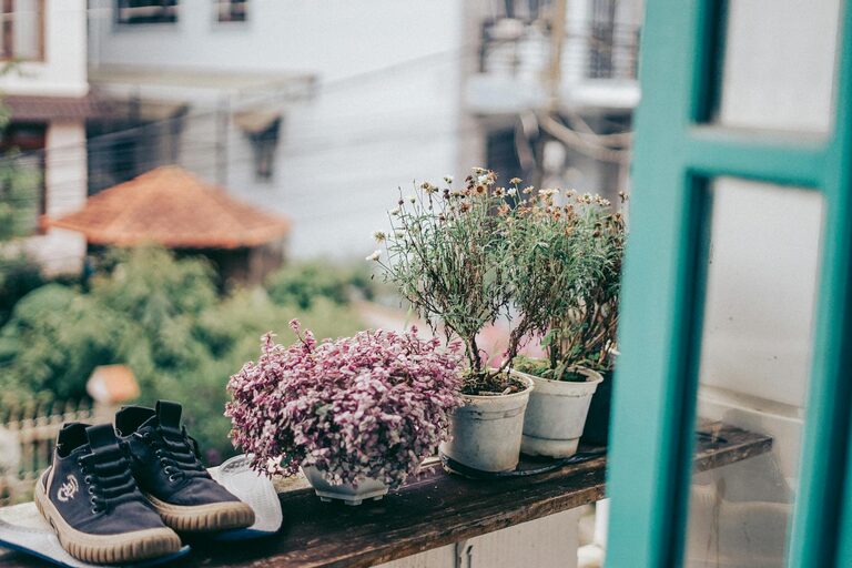 Tips for Creating a Relaxing Home Garden for Beginners